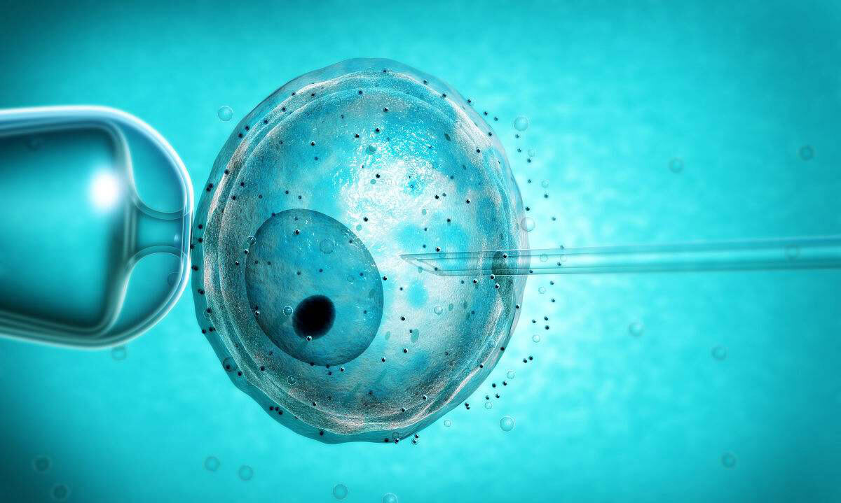 黄石地区美国试管婴儿技术概览