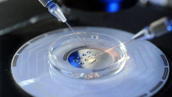 鹰潭试管婴儿胚胎植入技术研究进展